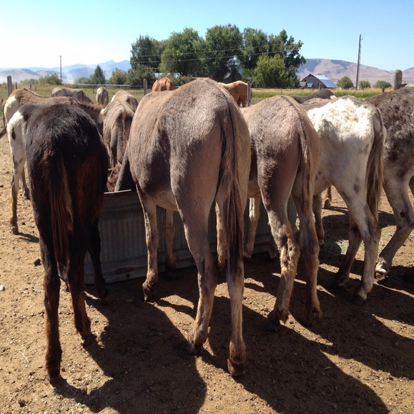 Meet your Posher, Ruth - Picture 15 of 16